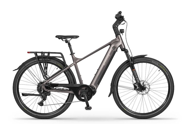 Ecobike MX 300 Grå